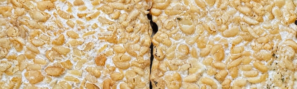 Deux blocs de tempeh dorés