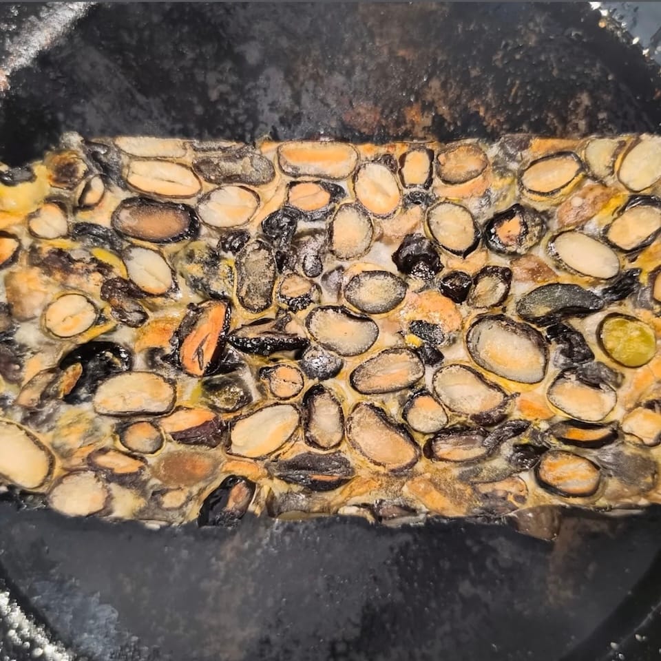 Bloc de tempeh doré à la poêle