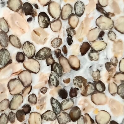 Bloc de tempeh tranché