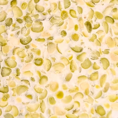 Tempeh de soja découpé en tranches
